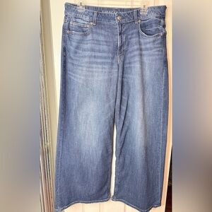 American Eagle Stretch Low Rise Baggy Wide Leg Jeans